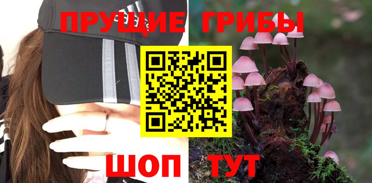 Псилоцибиновые грибы мицелий Уварово